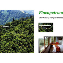 Fincapetrona, Кито — фото 2