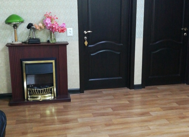 Vyichegda Hotel, 科里亚日马 — 照片 1
