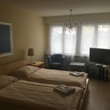 Hotel & Backpackers Zak, Neuhausen am Rheinfall — photo 3
