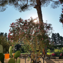 Agriturismo Occhineri, 坎皮萨伦蒂纳 — 照片 4