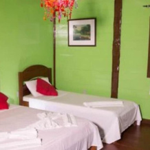 Amazon resort island, Careiro — photo 3