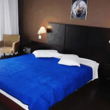 Michailidis - Dedi "Hotel Dedis Resort" S.A., 卡斯托里亚 — 照片 3