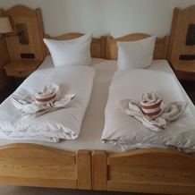Waldhotel König Von Rom, Вальдеш — фото 3