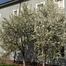 Zagorodnyi Na Zarechnoj Hotel, Yakhroma — photo 2