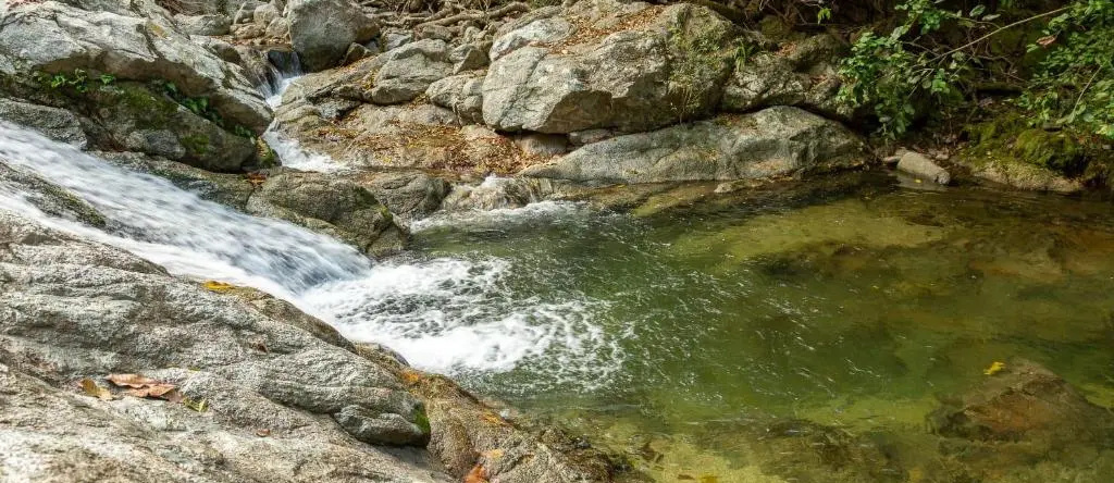 Tayrona Deep Forest Posadas, Los Naranjos — photo 1