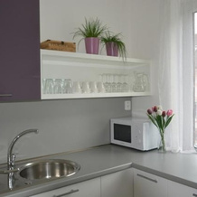 Apartment Mlýnská, 耶塞尼克 — 照片 3