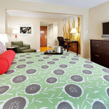 Hotel Trilogy Albany Airport, Tapestry Collection By Hilton, Латем — фото 5