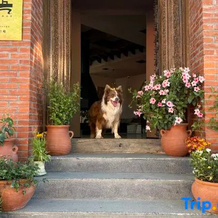 Nalati Hubai · Youjian Anasu Homestay (Nalati Scenic Area), Xinyuan — photo 5
