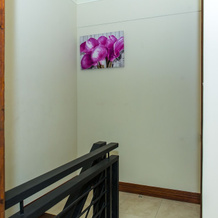 Kinsgton Modern Duplex Apartment with Pool, 金斯顿 — 照片 5