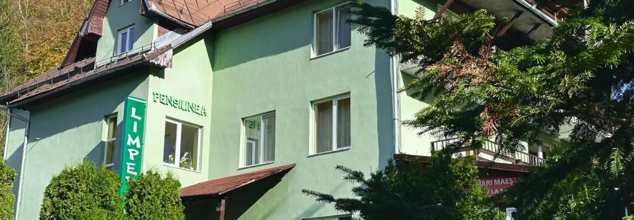 Pensiunea Limpedea, Baia Sprie — photo 1