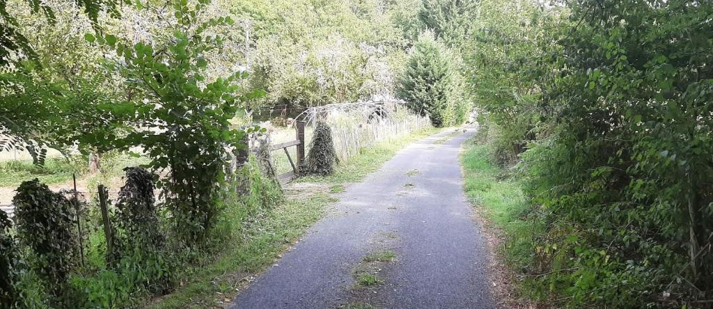 CAP NATURE - COSY T1 T3 T5 à 3km de Périgueux, 布拉扎克 — 照片 1