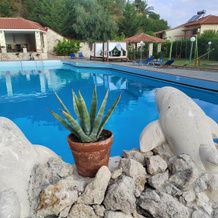Halkidiki Palace Hotel, Ханиотис — фото 3