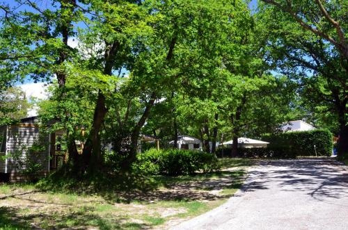 Domaine de la Coronne ***, 瓦尔雷亚 — 照片 1