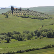 La Terrazza Sulla Val D'orcia, Кастильоне-д'Орсия — фото 5