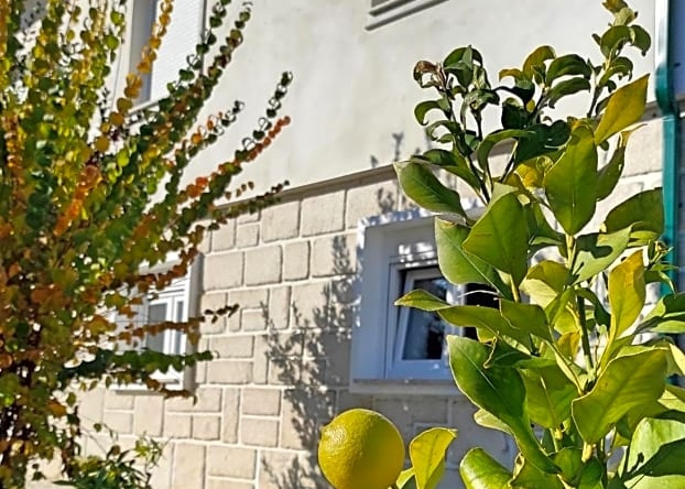 Villa D'uvale Douro, Алижо — фото 1