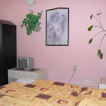 Hotel Aldek, 捷克利帕 — 照片 2