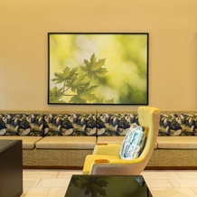 Wyndham Garden McAllen at La Plaza Mall, 麦卡伦 — 照片 2