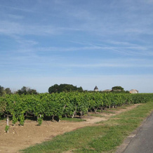 La Petite Grange, Lorignac — photo 4