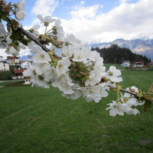 Apartments FEICHTNER / Tulfes / Tirol, 图尔费斯 — 照片 5