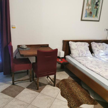 APARTMAN i SOBA HADELA, 穆拉河畔圣马丁 — 照片 5