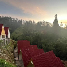 The Nature Bromo Resort, 托萨里 — 照片 4
