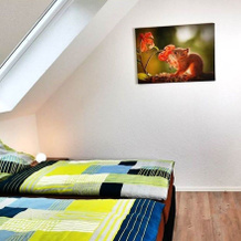 Speedys Gästehaus am Brünnchen, 赫雷斯巴赫 — 照片 3
