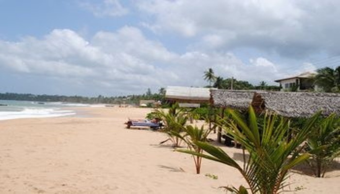 Peacock Land, Tangalle — photo 1