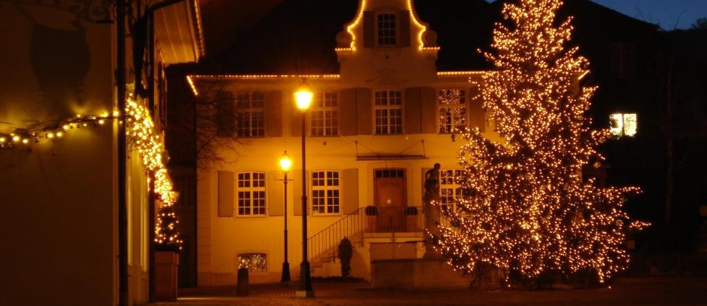 Hotel Gasthof zum Ochsen, 阿尔勒斯海姆 — 照片 1