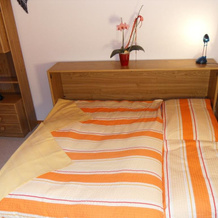 Hotel Alpina, Alt Sankt Johann — photo 2