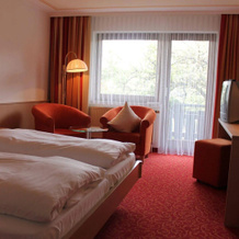 Wellnesshotel Hohenrodt, 洛斯堡 — 照片 5