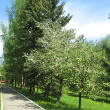 Uglich Guest house, Altynovo — photo 2