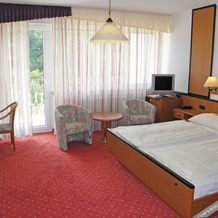 Hotel Schlangenbader Hof, Шлангенбад — фото 4