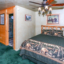 Pleasant Pause-1864 by Big Bear Vacations, 方斯金 — 照片 3