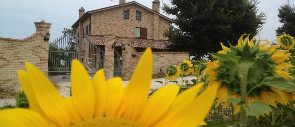 Agriturismo Bio Verde Armonia, Монтемарчиано — фото 1