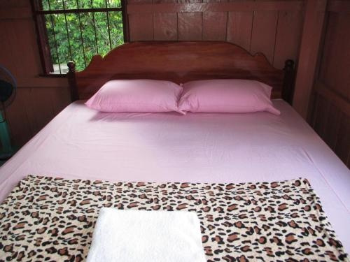 Palm Civet Guesthouse, 芝帕村 — 照片 1