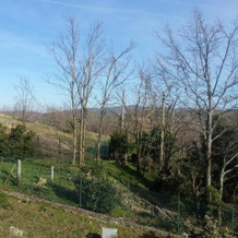 Appartamento Matteo & Daniela, San Leo — photo 2