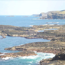 Moore Bay Holiday Homes, 基尔基 — 照片 3