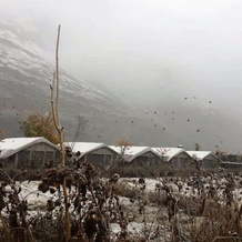 TIH Buckwheat Root Camp - Turtuk, Turtuk — photo 5