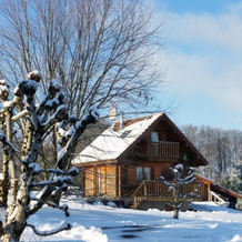 CHALET LE VAL-D'AJOL, 2 PIèCES, 2 PERSONNES - FR-1-589-230, 勒瓦勒达若勒 — 照片 4