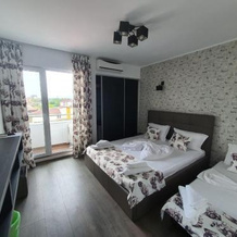 Anacris Guesthouse, Костинешти — фото 3