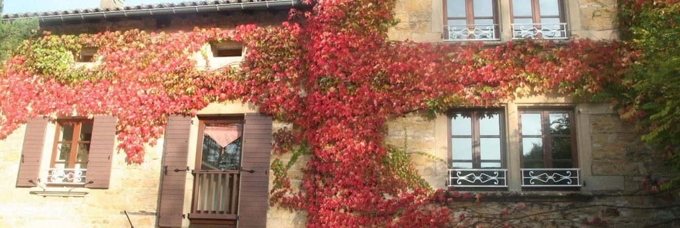 L'Aube du Moulin, Gleize — photo 1