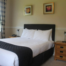Nant Ddu Lodge Hotel, 兰弗林纳赫 — 照片 2