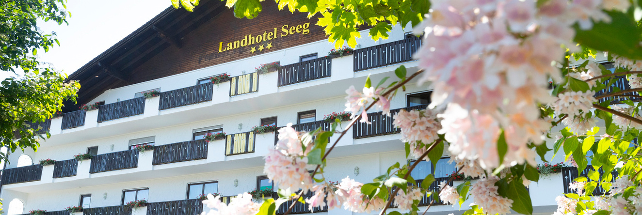 Landhotel Seeg Hotel, 塞格 — 照片 1