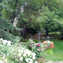 Burleys Gardens and Suite, 彼得伯勒 — 照片 4