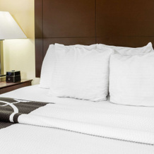 La Quinta Inn & Suites by Wyndham Ennis, 恩尼斯 — 照片 5