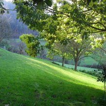 O Cabazo Da Curuxa, Лоренсана — фото 5