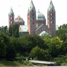 Weinstube Schwarzamsel, Speyer — photo 2