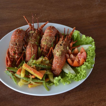 West Break Bali Medewi, 门多约 — 照片 4