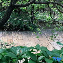 Yan'an Heritage Cave Hotel, Yanan — photo 2