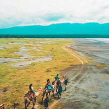 Mbweha Camp Lake Nakuru, 纳库鲁 — 照片 4